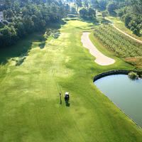 Le golf