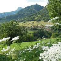 Panorama