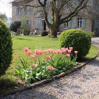 Domaine du Château de Roche-sur-Linotte