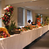Buffet cocktail déjeunatoire