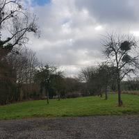 Verger Pommeraie