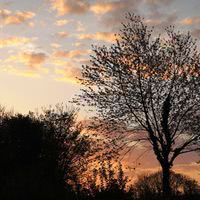 Levée de soleil en Normandie