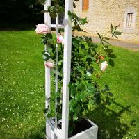L'arche avec ses rosiers