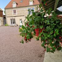 Terrasse fleurie
