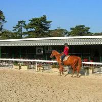 Club House l'Etrier de Paris