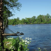 Vue de la rivière dans le parc