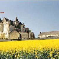 Château de la Motte