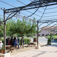Terrain de Pétanque/ Pergola