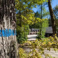 Chemins de randonnées au départ du site