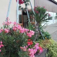 Ambiance d'été