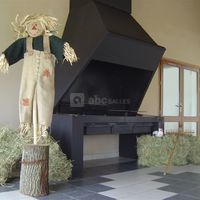 Domaine de la chappe cheminée grill dans le auvent