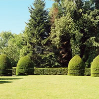 Le jardin à la francaise
