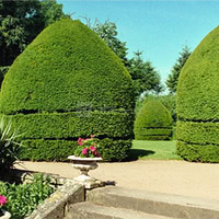 Le jardin à la francaise