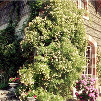 Les salles