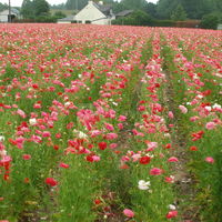La nature est si belle,,,,,,,