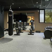 Warwick Reine Astrid