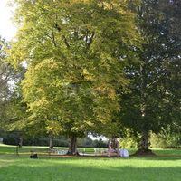 La cérémonie laïque dans le parc du château