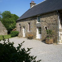 La cour