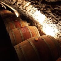 Cave en fût de chêne