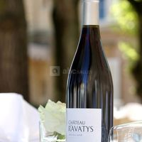 Brouilly 2008