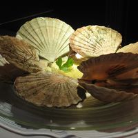 Restaurant le Pavillon