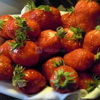 Restaurant le Pavillon