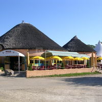 Le baobab