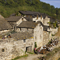 La Ferme des Cévennes