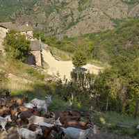 La Ferme des Cévennes