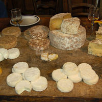 La Ferme des Cévennes