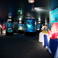 Aquariums