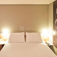Ibis Toul Garros