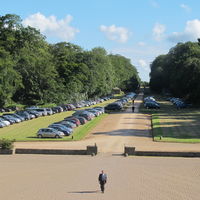 Parking dans les pelouses de l'avenue