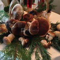 Castel du Pont d'Oly