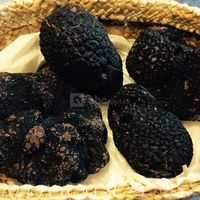 Castel du Pont d'Oly