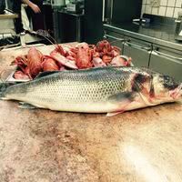 Castel du Pont d'Oly