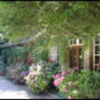 Le manoir de la forêt