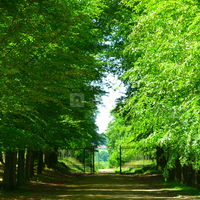 Château de Salvanet