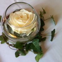 Château de Salvanet