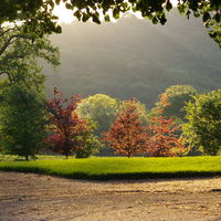 Château de Salvanet