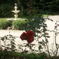 Bienvenue,,,,