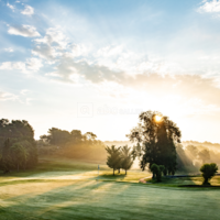 Resonance Golf Collection