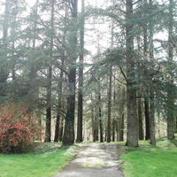 Au coeur du parc