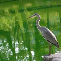 Château Le Verdoyer