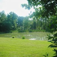 Vue sur l'étang paysagé