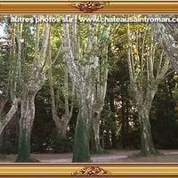 Toujours les arbres: oui mais c'est le parking !!!