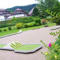 Mini golf