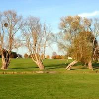 Des arbres centenaires