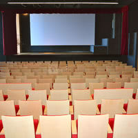 Auditorium du palais des arts et du festival