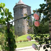 La Tour - Grand Fougeray